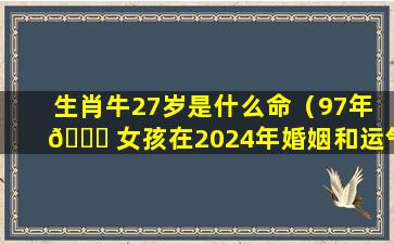 生肖牛27岁是什么命（97年 🐕 女孩在2024年婚姻和运气）